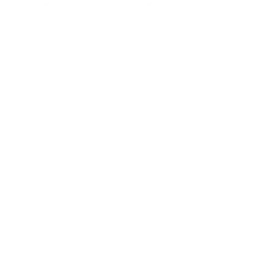Occipital